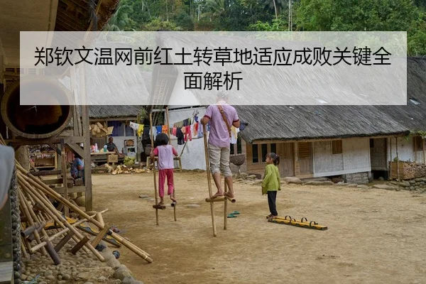 郑钦文温网前红土转草地适应成败关键全面解析