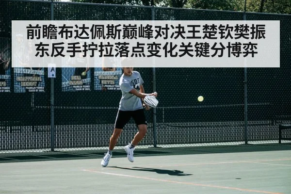 前瞻布达佩斯巅峰对决王楚钦樊振东反手拧拉落点变化关键分博弈